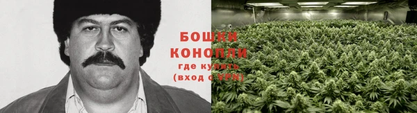 марки nbome Богородицк