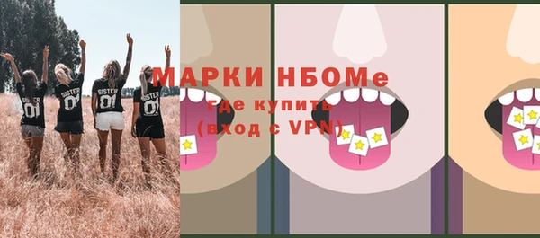 шишки Богородск