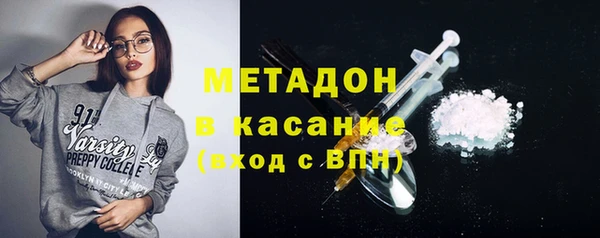 сатива Богданович