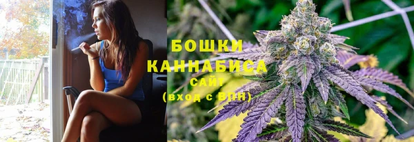 сатива Богданович