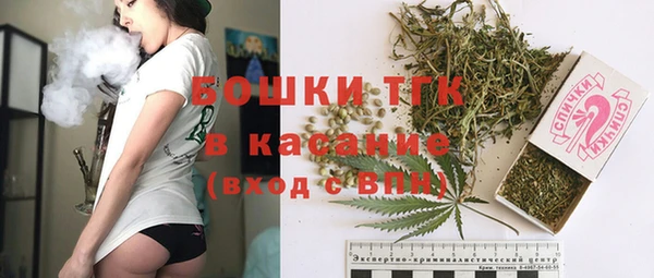 сатива Богданович