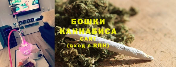 сатива Богданович