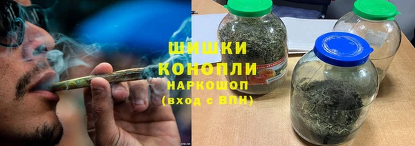 шишки Богородск