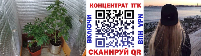 ТГК THC oil  как найти закладки  это как зайти  Мурманск 