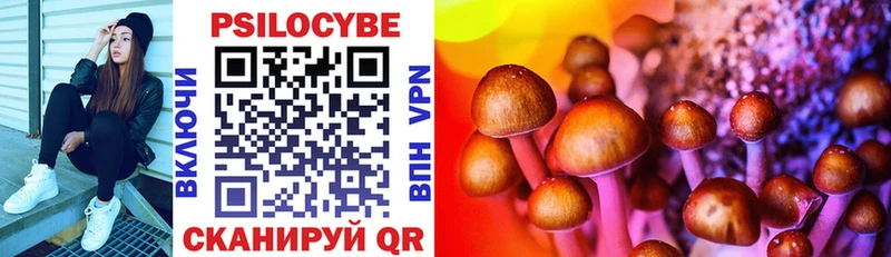 Галлюциногенные грибы Magic Shrooms Мурманск