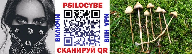 Галлюциногенные грибы мицелий  хочу наркоту  Мурманск 